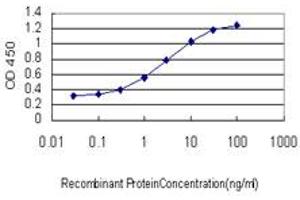 Detection limit for recombinant GST tagged SAV1 is approximately 0. (SAV1 antibody  (AA 300-383))