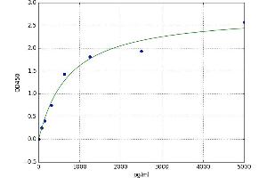 Menage A Trois Homolog 1, Cyclin H Assembly Factor (Xenopus Laevis) (MNAT1) ELISA Kit