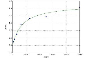 A typical standard curve (MNAT1 ELISA Kit)