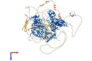 AlphaFold protein structure predicition of Human Recombinant HFM1 Protein, UniprotID A2PYH4 (HFM1 Protein (AA 1-1435) (His tag))