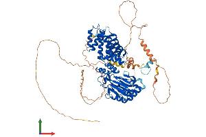 AlphaFold protein structure predicition of Mouse Recombinant Asph Protein, UniprotID Q8BSY0 (Aspartate beta Hydroxylase Protein (AA 1-741) (His tag))