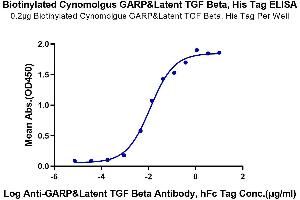 Immobilized Biotinylated Cynomolgus GARP&Latent TGF beta, His Tag at 2 μg/mL (100 μL/Well) on the plate.
