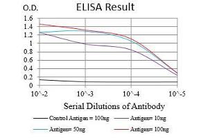 Black line: Control Antigen (100 ng), Purple line: Antigen(10 ng), Blue line: Antigen (50 ng), Red line: Antigen (100 ng), (EGFR antibody  (AA 693-893))