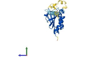 Protein Structure (PS) image for PPPDE Peptidase Domain Containing 1 (PPPDE1) (AA 1-194) protein (His tag) (ABIN7560904)