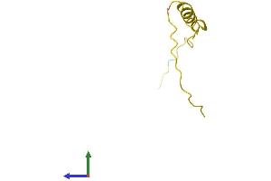 AlphaFold protein structure predicition of Human Recombinant PRAC1 Protein, UniprotID Q96KF2