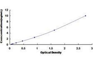 Apoptotic Peptidase Activating Factor 1 (APAF1) ELISA Kit