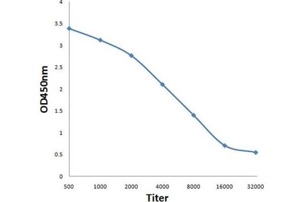 Attractin antibody  (AA 751-850)