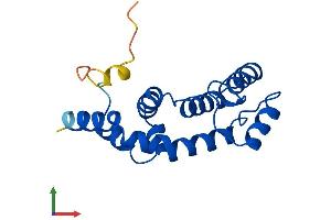 AlphaFold protein structure predicition of Mouse Recombinant Rgs13 Protein, UniprotID Q8K443 (RGS13 Protein (AA 1-158) (His tag))