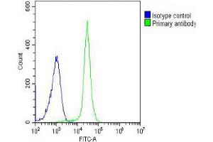 Overlay histogram showing K562 cells stained with (ABIN657293 and ABIN2846379) (green line). (IL1RL2 antibody  (AA 257-286))