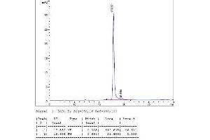 Image no. 2 for Interleukin 12 (IL12) (AA 23-219), (AA 23-328) (Active) protein (ABIN2018013) (IL12 Protein (AA 23-219, AA 23-328))