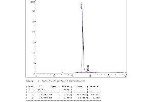 Image no. 2 for Interleukin 12 (IL12) (AA 23-219), (AA 23-328) (Active) protein (ABIN2018014) (IL12 Protein (AA 23-219, AA 23-328))