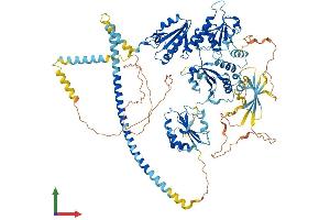 Protein Structure (PS) image for Thioredoxin Domain Containing 11 (TXNDC11) (AA 1-948) protein (His tag) (ABIN7564641)