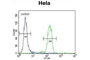 Flow Cytometry (FACS) image for anti-BCL2-Associated Agonist of Cell Death (BAD) (BH3 Domain) antibody (ABIN2997223) (BAD antibody  (BH3 Domain))