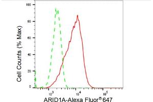 Flow cytometric analysis of ARID1A expression in C2C12 cells using ARID1A antibody (ABIN7797666), 1:2,000).