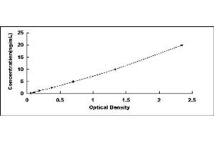 Typical standard curve (TEK ELISA Kit)