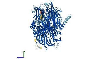 AlphaFold protein structure predicition of Mouse Recombinant Sf3b3 Protein, UniprotID Q921M3 (SF3B3 Protein (AA 1-1217) (His tag))