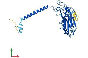 AlphaFold protein structure predicition of Human Recombinant ATP1B1 Protein, UniprotID P05026 (ATP1B1 Protein (AA 1-303) (His tag))