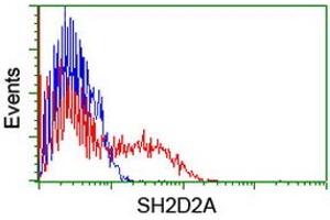 HEK293T cells transfected with either RC204162 overexpress plasmid (Red) or empty vector control plasmid (Blue) were immunostained by anti-SH2D2A antibody (ABIN2455617), and then analyzed by flow cytometry. (SH2D2A antibody)