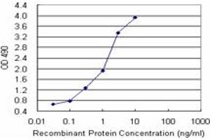 Sandwich ELISA detection sensitivity ranging from 0.
