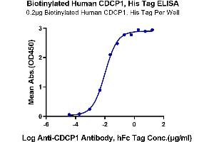 Immobilized Biotinylated Human CDCP1, His Tag at 2 μg/mL (100 μL/Well) on the plate. (CDCP1 Protein (AA 30-666) (His-Avi Tag,Biotin))