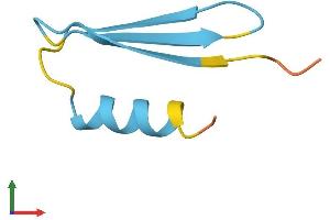 AlphaFold protein structure predicition of Human Recombinant KTN1-AS1 Protein, UniprotID Q86SY8 (KTN1-AS1 Protein (AA 1-53) (Fc Tag))