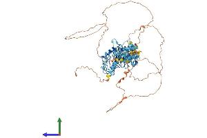 AlphaFold protein structure predicition of Mouse Recombinant Lrch4 Protein, UniprotID Q921G6