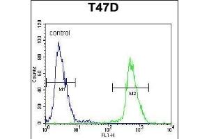 NU Antibody (N-term) (ABIN653920 and ABIN2843154) flow cytometric analysis of T47D cells (right histogram) compared to a negative control cell (left histogram). (NUP210 antibody  (N-Term))
