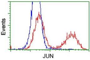 HEK293T cells transfected with either RC209804 overexpress plasmid (Red) or empty vector control plasmid (Blue) were immunostained by anti-JUN antibody (ABIN2453809), and then analyzed by flow cytometry. (C-JUN antibody)