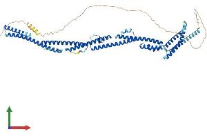 AlphaFold protein structure predicition of Mouse Recombinant Prc1 Protein, UniprotID Q99K43 (PRC1 Protein (AA 1-603) (His tag))