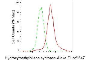 Flow cytometric analysis of Hydroxymethylbilane synthase expression in HeLa cells using Hydroxymethylbilane synthase antibody (ABIN7799012), 1:2,000).