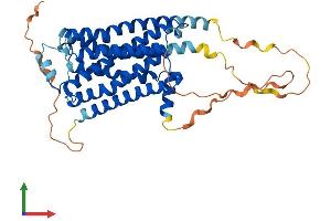 Protein Structure (PS) image for Adrenergic, beta-3-, Receptor (ADRB3) (AA 1-408) protein (His tag) (ABIN7551985)