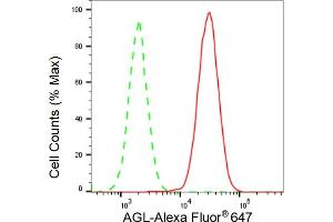 Flow cytometric analysis of AGL expression in HAP-1 cells using AGL antibody (ABIN7797592), 1:2,000).