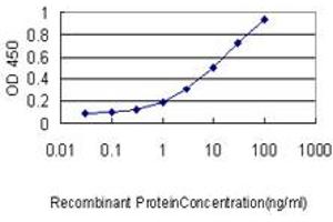 Detection limit for recombinant GST tagged S100A4 is approximately 0. (s100a4 antibody  (AA 1-101))