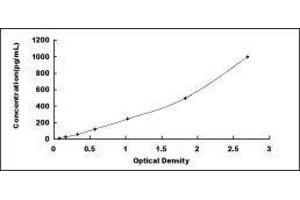 ELISA image for Oncostatin M (OSM) ELISA Kit (ABIN416340)