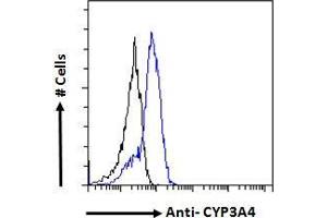 Flow Cytometry (FACS) image for anti-Cytochrome P450, Family 3, Subfamily A, Polypeptide 4 (CYP3A4) (Internal Region) antibody (ABIN185606)