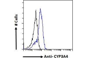 ABIN185606 Flow cytometric analysis of paraformaldehyde fixed HepG2 cells (blue line), permeabilized with 0. (CYP3A4 antibody  (Internal Region))