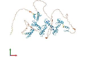 Protein Structure (PS) image for Zinc Finger Protein 74 (ZNF74) (AA 1-644) protein (His tag) (ABIN7545367)