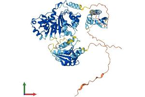 AlphaFold protein structure predicition of Human Recombinant DDX53 Protein, UniprotID Q86TM3 (DDX53 Protein (AA 1-631) (His tag))