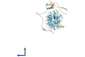 Protein Structure (PS) image for Zinc Finger Protein 836 (ZNF836) (AA 1-936) protein (His tag) (ABIN7545502)