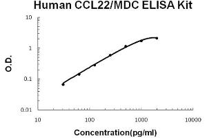 Human CCL22/MDC Accusignal ELISA Kit Human CCL22/MDC AccuSignal ELISA Kit standard curve. (CCL22 ELISA Kit)