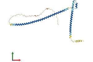 AlphaFold protein structure predicition of Mouse Recombinant Mipol1 Protein, UniprotID Q9D9F8