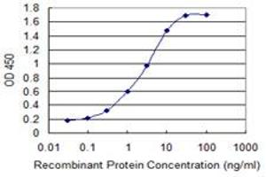 Detection limit for recombinant GST tagged S100A2 is 0. (S100A2 antibody  (AA 1-97))