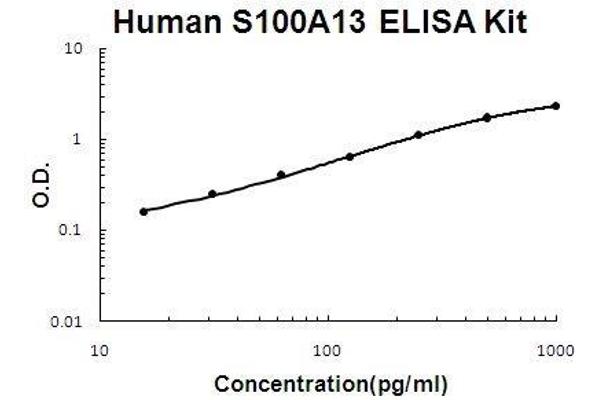 S100A13 ELISA Kit