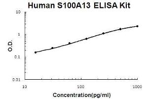 Human S100A13 PicoKine ELISA Kit standard curve