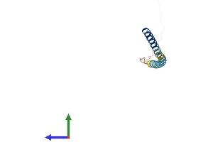 AlphaFold protein structure predicition of Mouse Recombinant Fate1 Protein, UniprotID Q8CEK7 (FATE1 Protein (AA 1-99) (His tag))