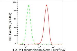 Flow cytometric analysis of RAD51 recombinase expression in HAP-1 cells using RAD51 recombinase antibody (ABIN7798367), 1:2,000). (Recombinant RAD51 antibody)
