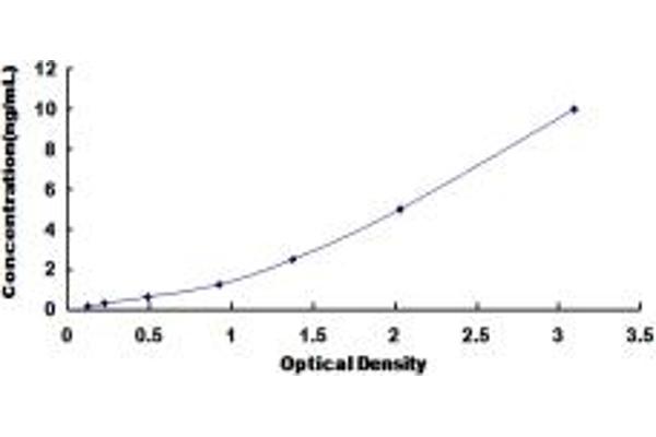 CHRDL2 ELISA Kit