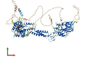 AlphaFold protein structure predicition of Mouse Recombinant Smg8 Protein, UniprotID Q8VE18 (SMG8 Protein (AA 1-991) (His tag))