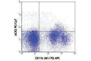 Flow Cytometry (FACS) image for anti-Mast/stem Cell Growth Factor Receptor (KIT) antibody (PE-Cy7) (ABIN2659420) (KIT antibody  (PE-Cy7))