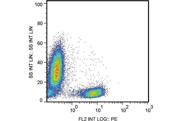 CD28 antibody